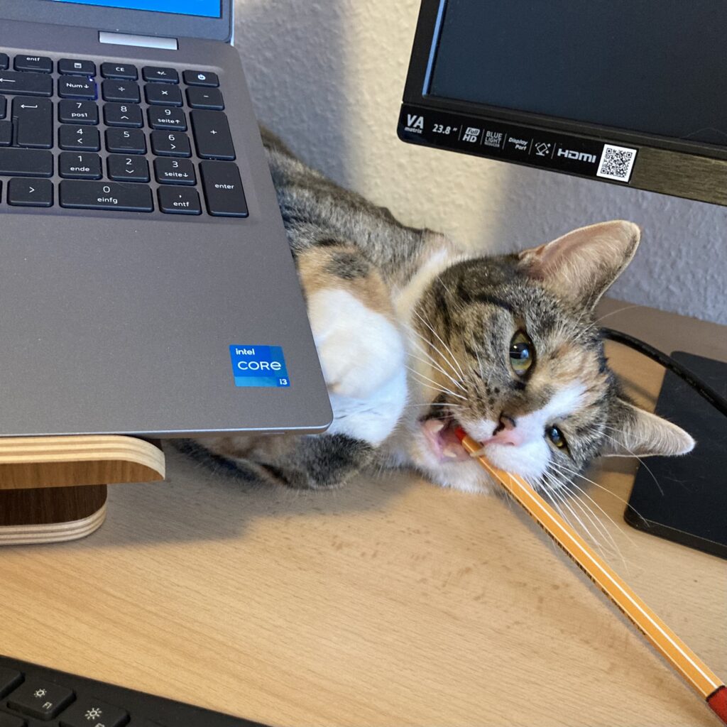 Katze auf dem Schreibtisch